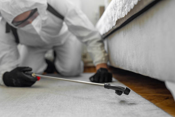 Professional Bed Bug Control technician working in Unalaska, AK